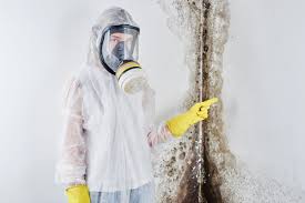 Professional Mold Removal Services in Calverton, NY